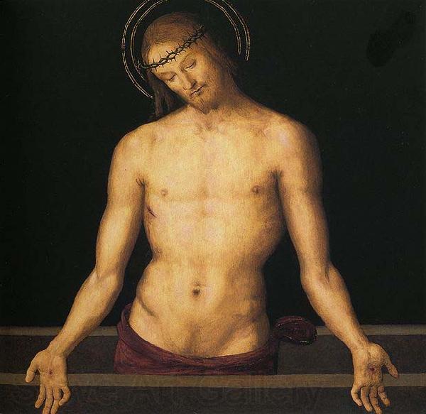 Pietro Perugino Pala dei Decemviri France oil painting art
